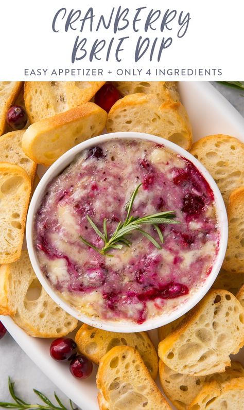 Cranberry Rosemary Baked Brie, Brie Appetizer Thanksgiving, Cranberry Brie Dip Crockpot, Baked Brie Cranberry Appetizer, Christmas Dip Recipes Appetizer Ideas, Hot Brie Dip, Brie And Raspberry Appetizer, Crockpot Brie Dip, Cranberry Brie Recipes