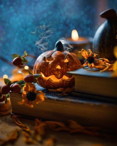 Halloween Aesthetics, Autumn Witch, Halloween Photography, Styling Photography, Swipe Right, Halloween Vibes, Fruit Painting, Still Life Drawing, Very Scary