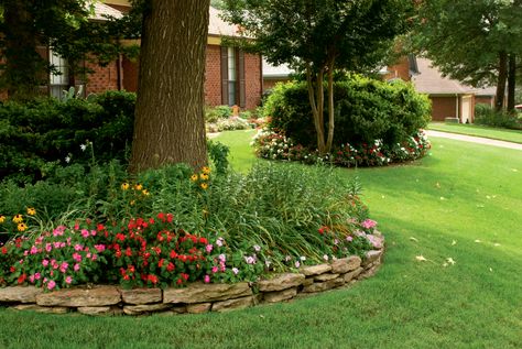 Plant tags show a darkened circle or half circle to represent shade, but what’s the difference between light shade, partial shade, full shade and deep shade? Full Shade Flowers, Partial Shade Perennials, Full Shade Plants, Shade Garden Plants, Full Sun Plants, Shade Flowers, Shade Perennials, Large Tree, Plant Tags