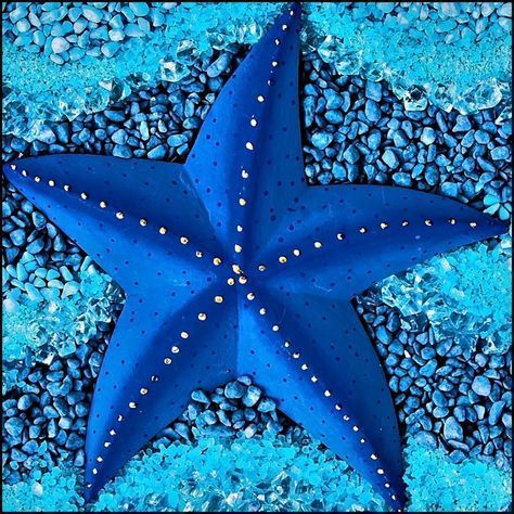 Who knew starfish could come in so many shapes and colors ... and with so many arms! Starfish Species, Creature Marine, Stella Marina, Beautiful Sea Creatures, Water Life, Deep Blue Sea, Ocean Creatures, Feeling Blue, Sea World