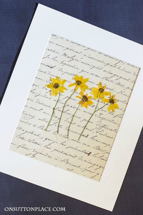 DIY Pressed Flower Art | Easy tutorial for how to press flowers and how to make pressed flower wall art. Printables included for the background. Pressing Plants, Diy Pressed Flower Art, Pressed Florals, Pressed Flowers Diy, Visual Journaling, Diy Fleur, Flower Pressing, Pressed Flower Crafts, Fleurs Diy