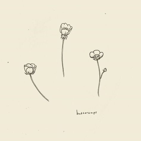 Simple Buttercup Tattoo, Tiny Buttercup Tattoo, Simple Cute Flower Tattoos, Buttercup Flowers Tattoo, Tattoos About Sisters, Buttercup Illustration Flower, Buttercup Flower Tattoos, Buttercup Drawing Flower, Ring Finger Flower Tattoo