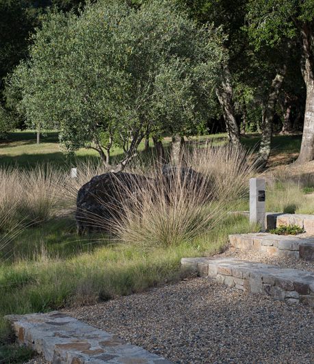 Bernard Trainor, Ornamental Grass Landscape, Landscaping Architecture, Landscape Stairs, Landscape Steps, Grasses Landscaping, Garden Steps, Garden Design Plans, Ornamental Grasses