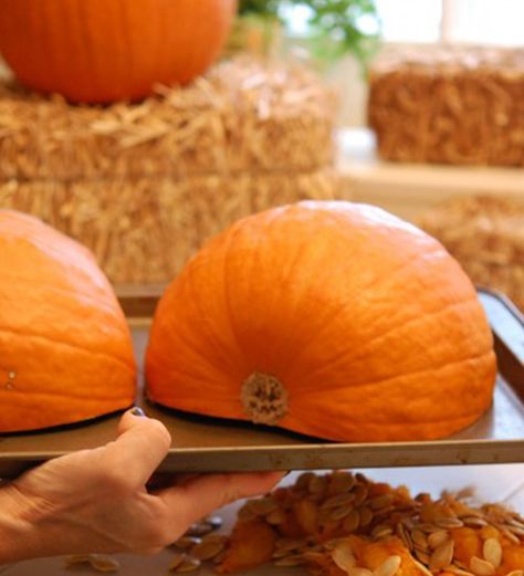 How To Make Pumpkin Pie Crust, How To Make Pumpkin Puree For Pie, Pumpkin Pie Fresh Pumpkin, Fresh Pie Pumpkin Recipes, Pumpkin Pie With Real Pumpkin Puree, Recipes For Fresh Pumpkin, Pumpkin Pie Recipe From Real Pumpkin, How To Bake With Real Pumpkin, How To Make Pumpkin Pie From A Pumpkin