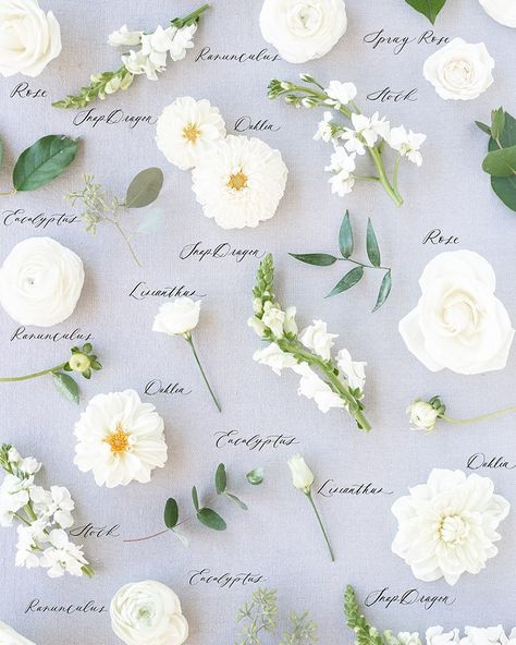 Bouquet Recipe, Modern Bouquet, Flower Chart, Wedding Bouquet Preservation, Bouquet Preservation, Flower Guide, White Wedding Bouquets, Flower Names, Bouquet Wedding