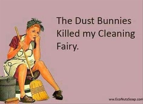 24 Funny Pictures About Spring Cleaning #cleaning #springcleaning #lol #humor #funnypictures Cleaning Humor, Cleaning Fairy, Cleaning Quotes Funny, Cleaning Quotes, Dust Bunnies, Clean Memes, Fun Friends, Clean Humor, Funny Lol