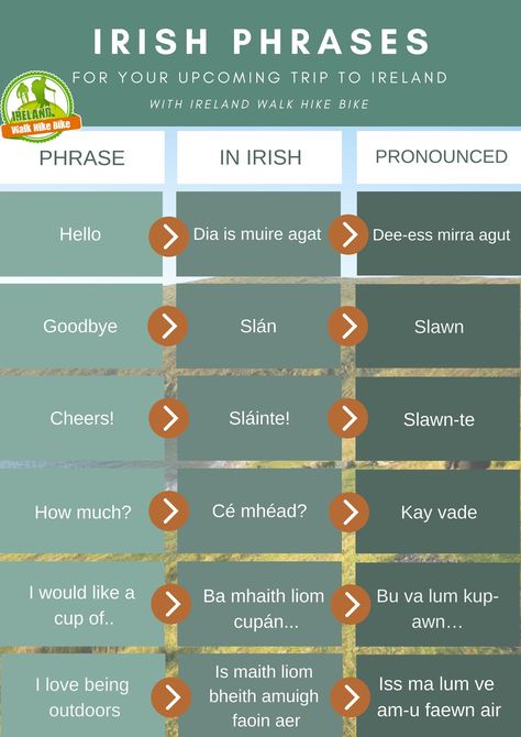 Learn Irish, Irish Gaelic Language, Learning Irish, Irish Phrases, Gaelic Language, Love Sentences, Irish Words, Irish Language, Irish Gaelic