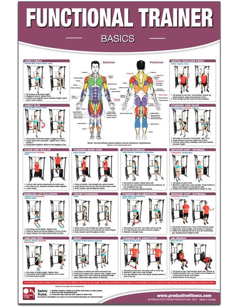 Functional Institutional/Home Gym Poster/Chart- Basics - Functional Trainer Posters, Functional Exercises, Adjustable Pulley Gym Posters, Workout ... Trainer Charts, Fitness Charts, Physio Gym: Becky Swan, Becky Swan, Michael Hutchison: 9781926534718: Amazon.com: Books Vadim Stein, Muscle Diagram, Functional Trainer, Glute Kickbacks, Gym Poster, Workout Posters, Ab Workout At Home, Inspiration Photos, Functional Training