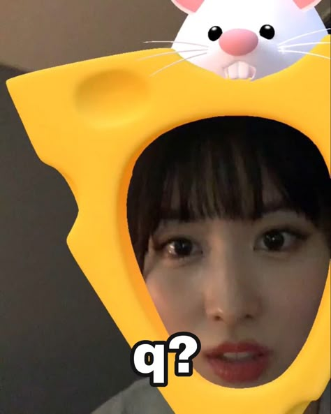 Stickers Twice, K Pop Stickers, Stickers Kpop, Kpop Stickers, Pop Stickers, Blackpink Memes, Momo Twice, Kpop Random, Chaeyoung Twice