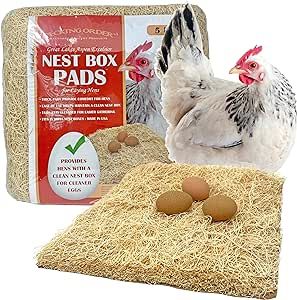 Chicken Water Feeder, Pine Shavings, Nest Boxes, Pecking Order, Chicken Nesting Boxes, Nest Box, Laying Hens, Chicken Feeder, Nesting Box