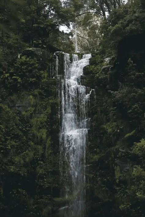 Dark Naturalism, Dark Forest Aesthetic, Forest Waterfall, Image Nature, Take Better Photos, Beautiful Waterfalls, Perfect World, Dark Forest, Nature Aesthetic