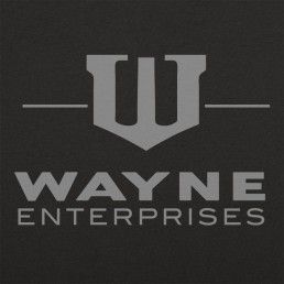 Wayne Enterprises Enterprise Logo, Wayne Enterprises, New Shirt Design, Batman Birthday Party, Series Poster, Movie Tees, Funny T Shirts, Logo Design Creative, The Leader