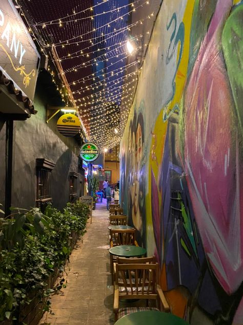 Calle 
Bar
Bogota 
Centro 
Aesthetic Latin America Travel, Fake Account, Travel Pictures Poses, Pictures Poses, Latin America, America Travel, Picture Poses, Travel Pictures, Photo Dump