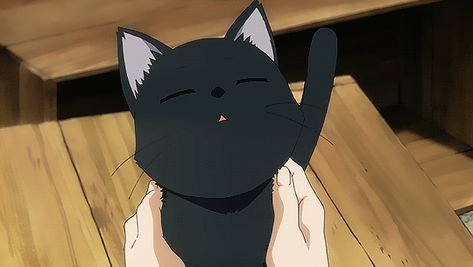 Flying witch Flying Witch Anime, Witch Gif, Black Cat Aesthetic, Gato Anime, Flying Witch, Banner Gif, Anime Gifs, Retro Cats, Anime Animals