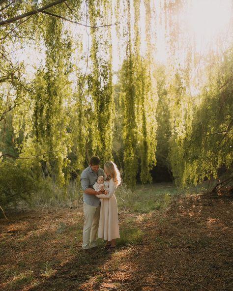 Love wrapped in warmth ☀️ Under the shady branches of a willow tree by the Orange River, we captured the first pages of this new chapter for this precious family. Jean, Janca & Jané, thank you for trusting me to capture these loving moments. It was an honour to be part of your journey as a new family. A Willow Tree, Willow Tree, New Family, Newborn Photoshoot, New Chapter, Lifestyle Photography, In This Moment, Orange, Photography