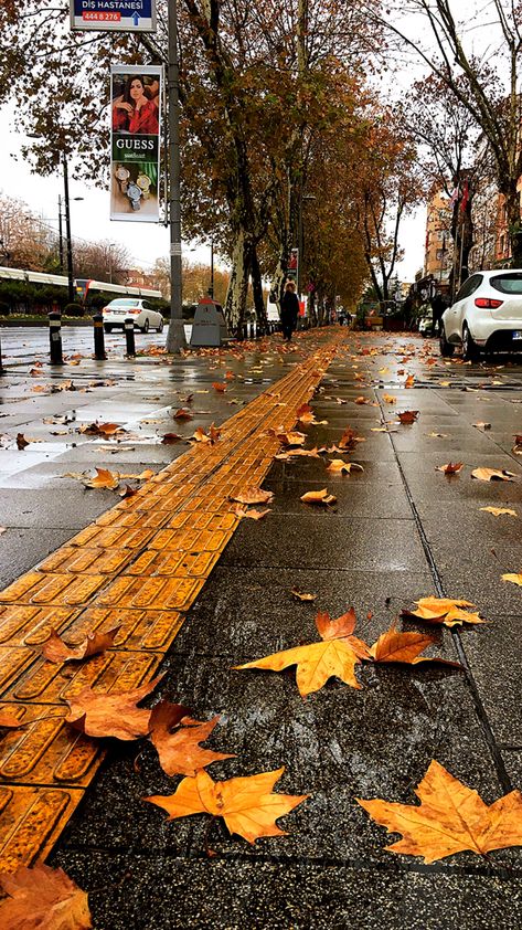 Rainy Day, Istanbul