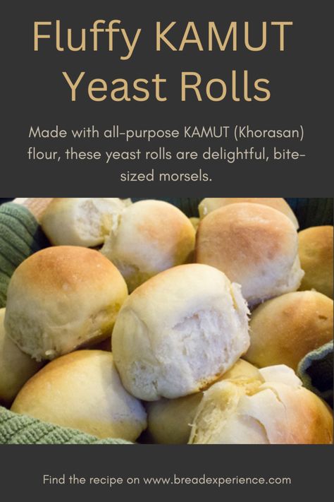 Ancient Grains Recipes, Kamut Flour, Wheat Recipes, Yeast Breads, Yeast Rolls, Roll Recipes, Biscuit Bake, Ancient Grains, Bread Roll