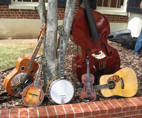 Bluegrass instruments  https://www.facebook.com/lonesomedayrecords?fref=ts Bluegrass Aesthetic, Bluegrass Instruments, Lps For Sale, Violin Photography, Finnick Odair, Bluegrass Music, Music Appreciation, Parks N Rec, Vinyl Record Album