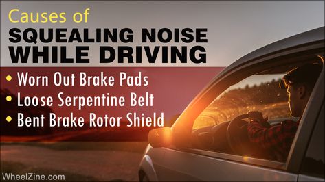 Causes of Squealing Noise While Driving Noises To Play For Your Dog, Car Noises, Harsh Noise, Should We Just Keep Driving, Normal Cars, Slaps Roof Of Car Memes, Audi E-tron, The Jetsons, Vw Tiguan