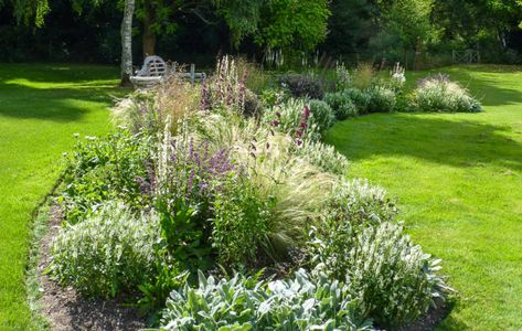 Island Bed White Garden Planting Ideas | Bramley Apple Garden Design Island Garden Bed, Garden Planting Ideas, Wind Garden, Island Bed, Apple Garden, Island Garden, Front Yard Plants, Bramley Apple, Planting Ideas