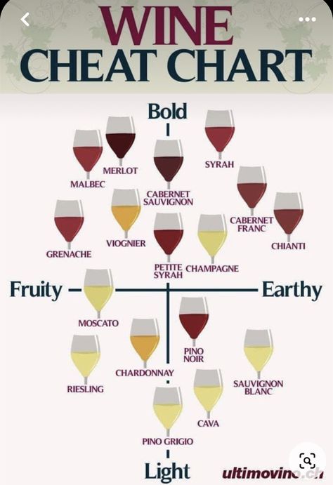 Wine Basics, Wine Chart, Wine Flavors, Wine Knowledge, Wine Guide, Easter Hairstyles For Kids, Wine Food Pairing, Hairstyles Short Hair, Alcohol Drink Recipes