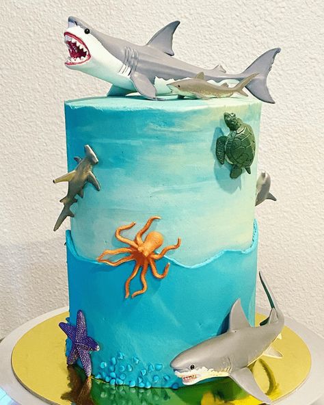 Mermaid And Shark Cake Ideas, Birthday Cake Shark Theme, Shark Bday Cake, Shark Themed Birthday Cake, Shark Birthday Cake Ideas, Shark Party Cake, Shark Birthday Cakes For Boys, Hammerhead Shark Cake, Shark Cakes For Kids