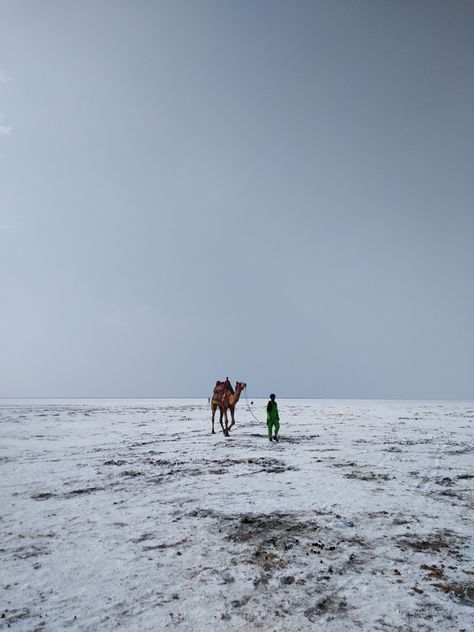 Road To Heaven Kutch Photography, Chania Choli, Rann Of Kutch, Doraemon Wallpapers, Instagram My Story, India Travel, Sky Aesthetic, Wedding Invitation Cards, Cool Places To Visit