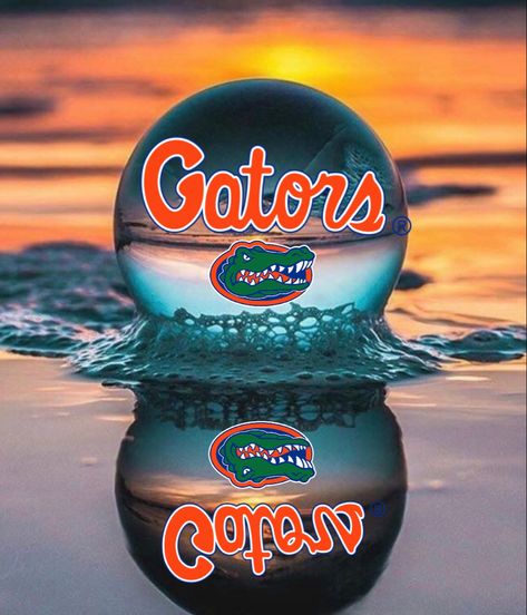 Fla Gators, Gators Football, Florida Gator, Florida Gators, Florida, Sports