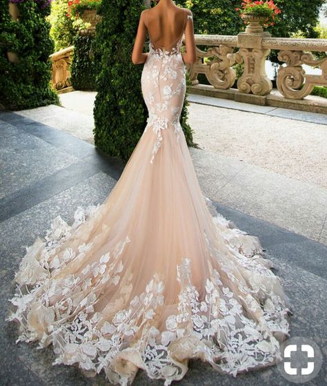 Elegant Lace Wedding Dress, Backless Mermaid Wedding Dresses, Backless Lace Wedding Dress, Girls Bridesmaid Dresses, Wedding Dress Cap Sleeves, Floor Length Wedding Dress, Beautiful Bridesmaid Dresses, Scott Mccall, Applique Wedding Dress