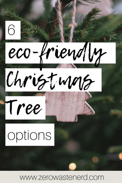 6 Eco-Friendly Christmas Tree Options - Zero Waste Nerd Sustainable Christmas Tree, Zero Waste Holiday, Navidad Natural, Zero Waste Christmas, Natural Christmas Tree, Eco Christmas, Potted Christmas Trees, Eco Friendly Holiday, Sustainable Christmas