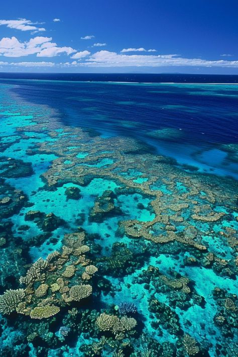 Dive into the Wonders of the Great Barrier Reef 🐠✨ Discover the vibrant marine life of the Great Barrier Reef in Australia. Snorkel or dive to explore the colorful coral reefs and diverse underwater ecosystem. 🌿🌊 #GreatBarrierReef #AustraliaTravel #MarineLife #NatureLovers Great Barrier Reef Diving, Underwater Ecosystem, Great Barrier Reef Snorkeling, Great Barrier Reef Australia, Coral Reef Ecosystem, Barrier Reef Australia, Boat Wallpaper, The Great Barrier Reef, Coral Reefs