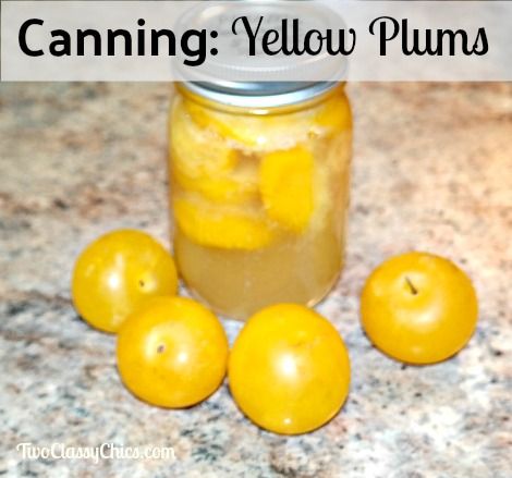 Canning Pressure Cooker, Canning Granny, Canned Plums, Easy Canning, Plum Recipes, Home Canning Recipes, Canning Food, Yellow Plums, Pressure Cooker Chicken