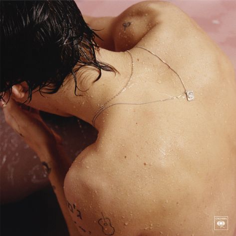 harry styles harry styles album cover - חיפוש Google Album On Wall, 1d Album Covers, Album Wall Collage, Harry Styles Cd, Billie Eilish Collage, Harry Styles Album Cover, Harry Styles Vinyl, Tyler Johnson, Album Wall