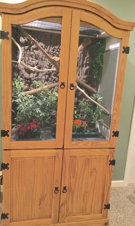 diy armoire chameleon mansion upcycle Diy Bearded Dragon Enclosure, Chameleon Enclosure, Iguana Cage, Chameleon Cage, Snake Cages, Diy Reptile, Bearded Dragon Diy, Bearded Dragon Enclosure, Snake Enclosure