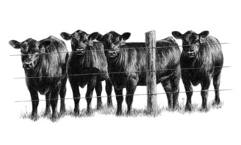 Black Angus Art | left click on Pictures to enlarge and/or right click to safe toyour PC ... Country Backgrounds, Cow Clipart, Cow Pictures, Western Wall Art, Beef Cattle, Black Cow, Western Aesthetic, Cow Art, Fabric Panel