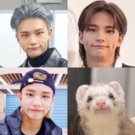 Unlikely Animal Friends, Unusual Animal Friendships, Animal Friendships, The Haircut, Kids Zoo, Straykids Hyunjin Photoshoot, Animals Friendship, A Monkey, Unusual Animals