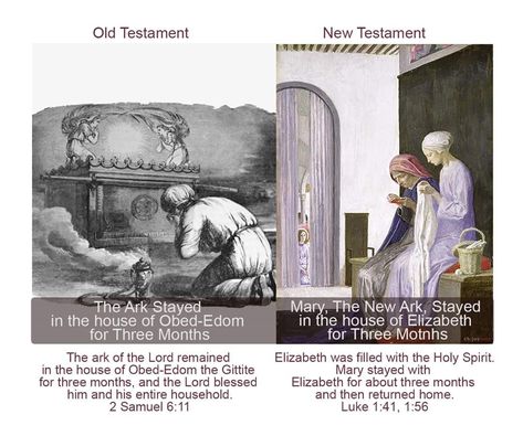 In the Old testament The Ark Stayed in the house of Obed-Edom for Three Months and in new the New testament Mary, The New Ark, Stayed in the house of Elizabeth for Three Months.  The ark of the Lord remained in the house of Obed-Edom the Gittite for three months, and the Lord blessed him and his entire household.2 Samuel 6:11  Elizabeth was filled with the Holy Spirit.Mary stayed with  Elizabeth for about three months and then returned home. Luke 1:41, 1:56  #ParallelsInScripture Obed Edom, Biblical Images, Christian Cartoons, Catholic Memes, Catholic Beliefs, Unknown Facts, 2 Samuel, Luke 1, Catholic Images