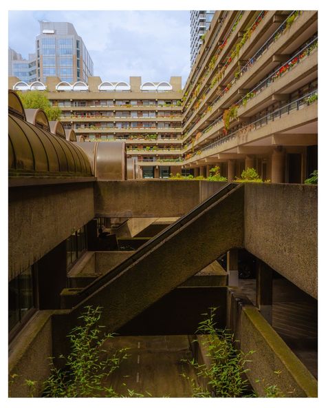 Been trying new post layouts, what do you think? These shots were all taken at the Barbican centre, sadly the inside was closed for renovations. #barbican #londonclassics #localplaces #outinlondon #stademagazine Barbican Centre London, The Barbican London, Urban Scenery, Barbican Conservatory, Barbican London, London Locations, Shoot Moodboard, Barbican Centre, Illustrations Ideas