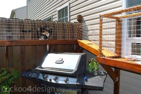 Adorable DIY Projects for Cat Lovers Sally Cat, Outdoor Cat Tunnel, Diy Cat Enclosure, Katt Diy, Chat Diy, Cat Enclosures, Cat Fence, Cat Patio, Diy Cat Tree