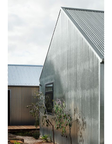 A Shed-Inspired Home, Designed To Age Gracefully Corrugated Metal Siding, One Bedroom House, Plywood Interior, Shed Home, Modern Barn House, Metal Siding, Age Gracefully, Roof Trusses, Plywood Sheets