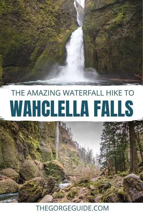 One of the most impressive Columbia River Gorge waterfalls is Wahclella Falls in Oregon, and the easy, scenic hike in is just as spectacular. Oregon travel | Oregon aesthetic | USA travel | Columbia River Gorge Abiqua Falls Oregon, Tumalo Falls Oregon, Wahclella Falls Oregon, Aesthetic Usa, Oregon Hiking, Oregon Waterfall Hikes, Oregon Aesthetic, Silver Creek Falls Oregon, Gorge Oregon