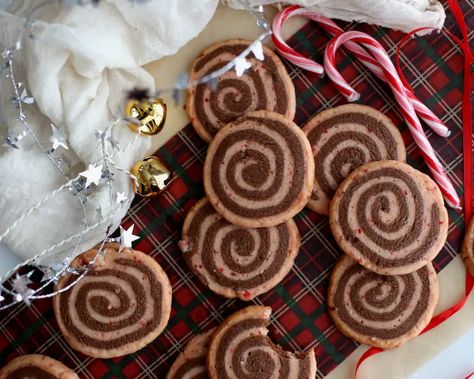 Peppermint Pinwheel Cookies, Pinwheel Cookies Recipe, Chocolate Cookie Recipe, Chocolate Peppermint Cookies, Christmas Treats Boxes, Peppermint Chocolate, Pinwheel Cookies, Pin Wheel, Alton Brown