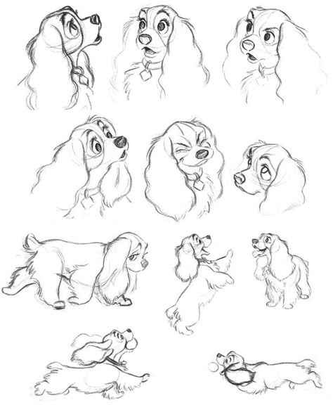 Lady and the tramp- it's amazing how disney animators can give a cartoon dog so much room for various expressions, all with maintaining the simplicity of disney animation Disney Style Drawing Animals, Dog Character Expressions, How To Draw Disney Dogs, Cocker Spaniel Character Design, How To Draw Disney Style Animals, Cocker Spaniel Cartoon Drawing, Disney Illustration Art Character Design, Pixar Animation Sketches, How To Draw Disney Animals