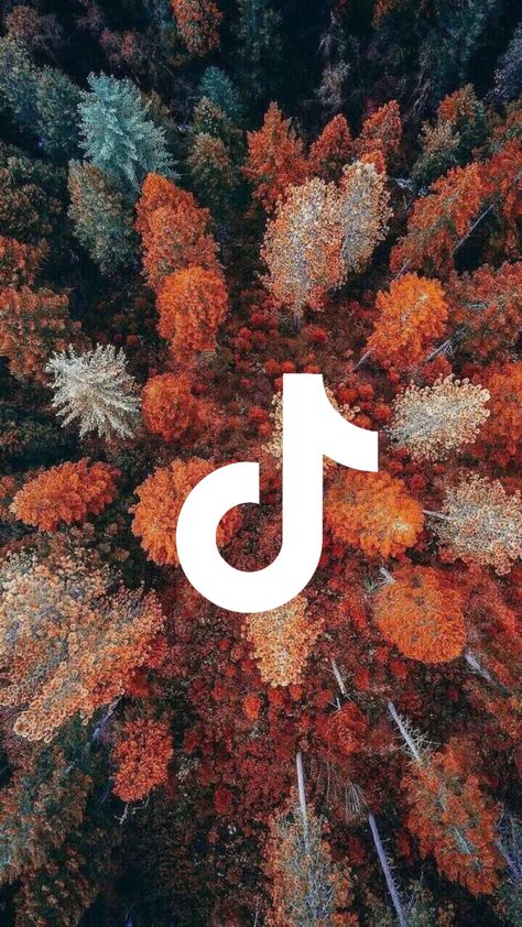 Fall Tiktok Icon, App Icon Tiktok, Free Fall Aesthetic App Icons, Fall Icons, Tiktok Icon, Phone Icons, Themes App, Iphone Wallpaper App, Phone Background