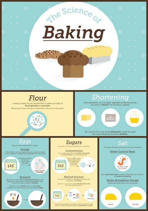 The Science of Baking by Shari's Berries Collage Basics Of Baking, Science Behind Baking, Baking Basics For Beginners, Science Of Cooking, Baking Class Ideas, Science Of Baking, Cooking Science, Cooking Knowledge, Baking Tricks