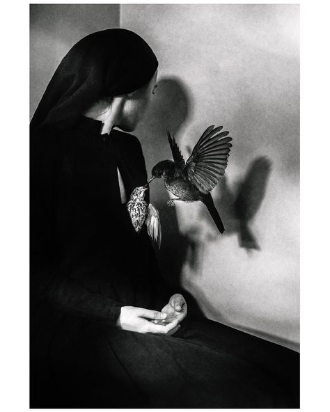 Laura Makabresku on Instagram: “Self-portrait with Love | 2019 | limited edition of prints available” Laura Makabresku, Bird People, Bird Pictures, White Photo, Aesthetic Photo, Black Bird, Bird Art, White Photography, Visual Artist