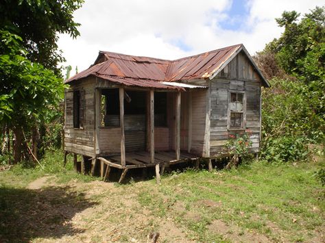 St. Mary Jamaica Real Estate Fun, Old Cabins, Urban Exploring, Old Abandoned Houses, Real Estate Humor, Abandoned Mansions, Tin Roof, Old Farm Houses, Old Barns