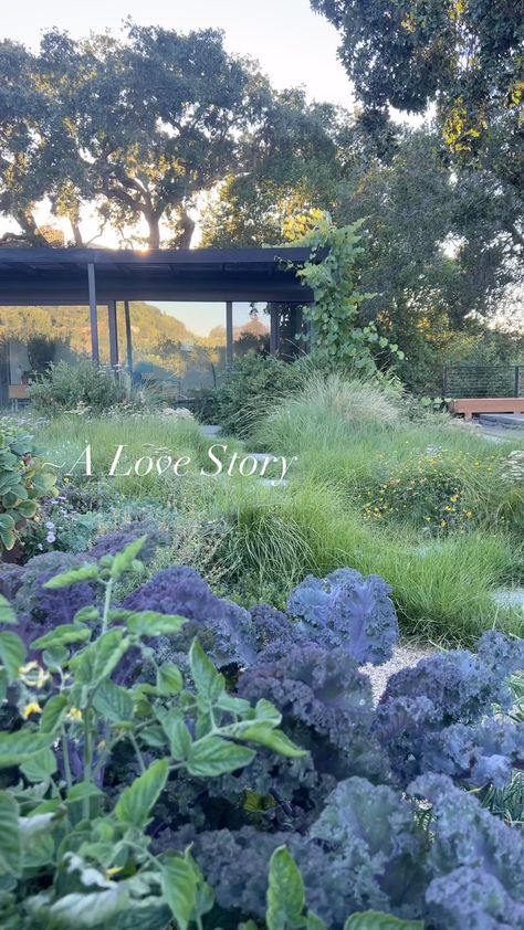 Christian Douglas Design (@christian_douglas_design) • Instagram photos and videos Christian Douglas Design, Organized Kitchen, Garden Pictures, We Did It, My Brain, Wild Child, Kitchen Garden, Lake View, Landscaping