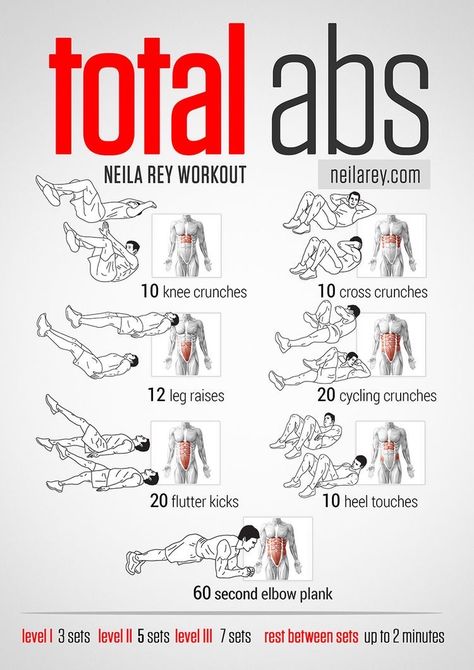 Total Abs Workout, Neila Rey Workout, Fitness Before After, Total Ab Workout, Total Abs, Home Workout Men, Workout Man, Ab Workout Plan, Workout Plan For Men