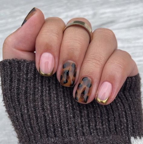 Alligator Nails, Animal Print Nail Designs, Tiger Nail Art, Tiger Nails, Edge Nails, Animal Print Nails, Dipped Nails, Nail Art Inspiration, Mani Pedi